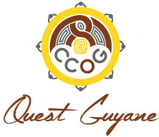 4 - Logo CCOG